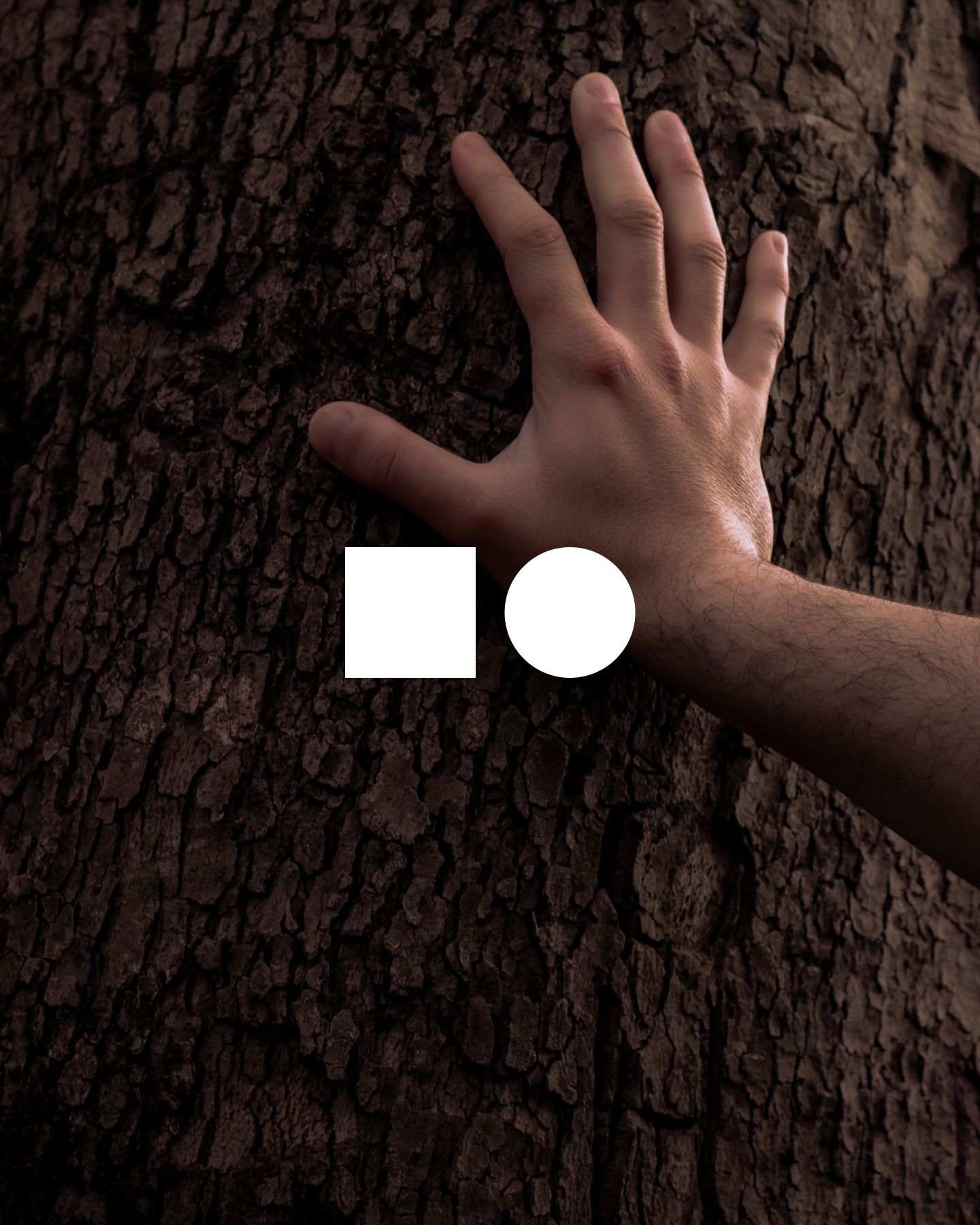 Symbol (minimal version)